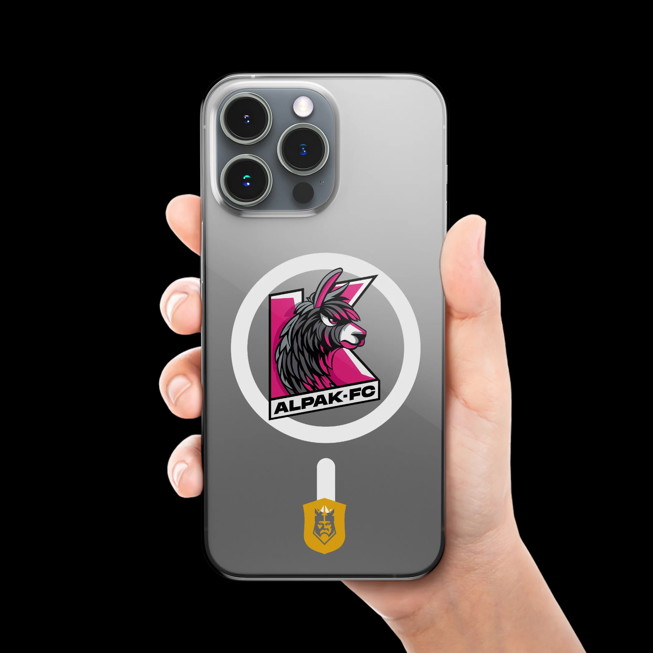 Miniatura 13