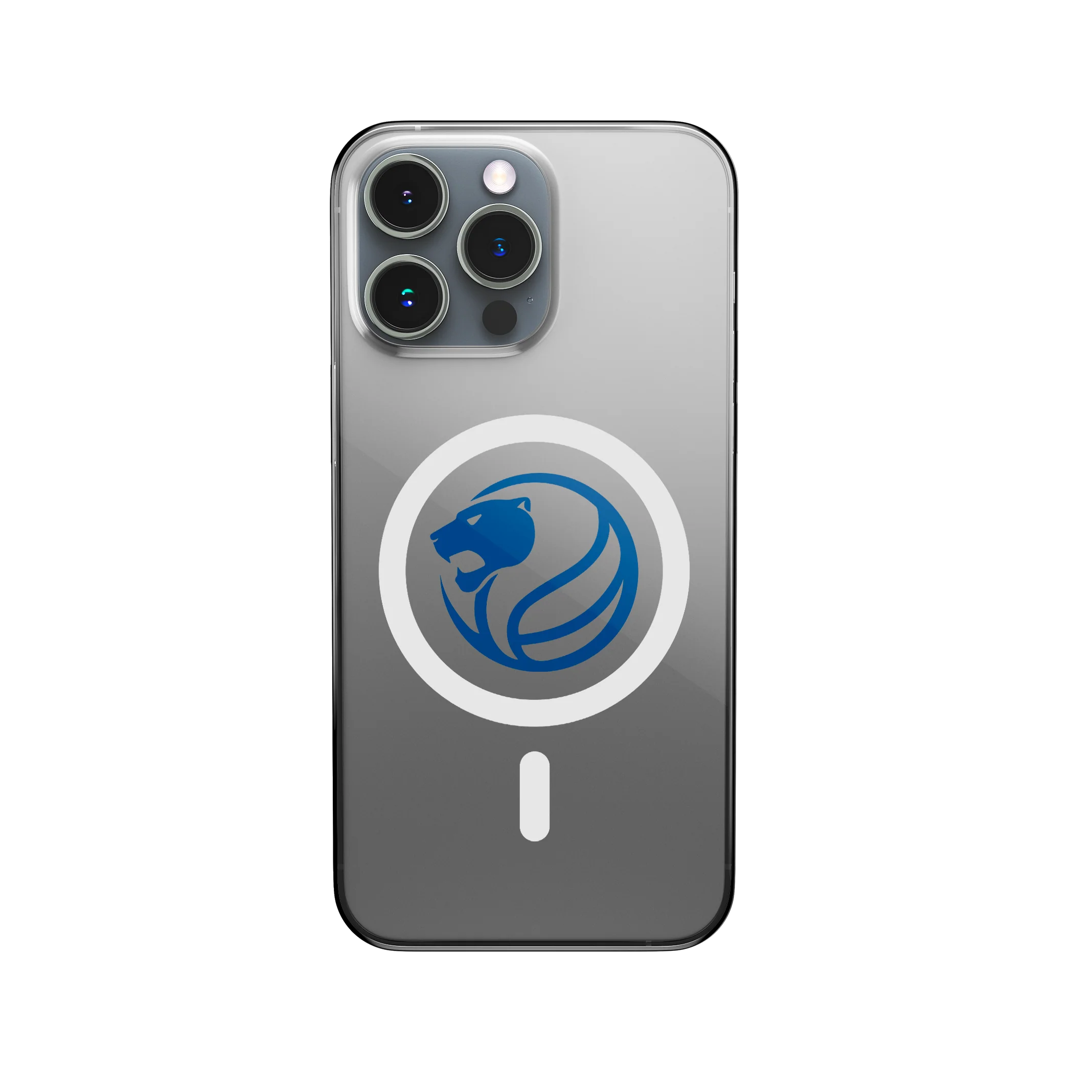 Miniatura 13